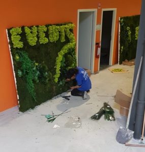 creation mur vegetal alsace