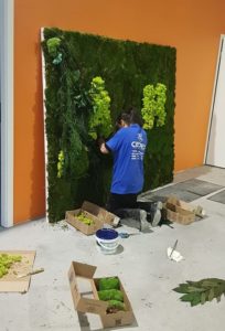 creation mur vegetal haut-rhin